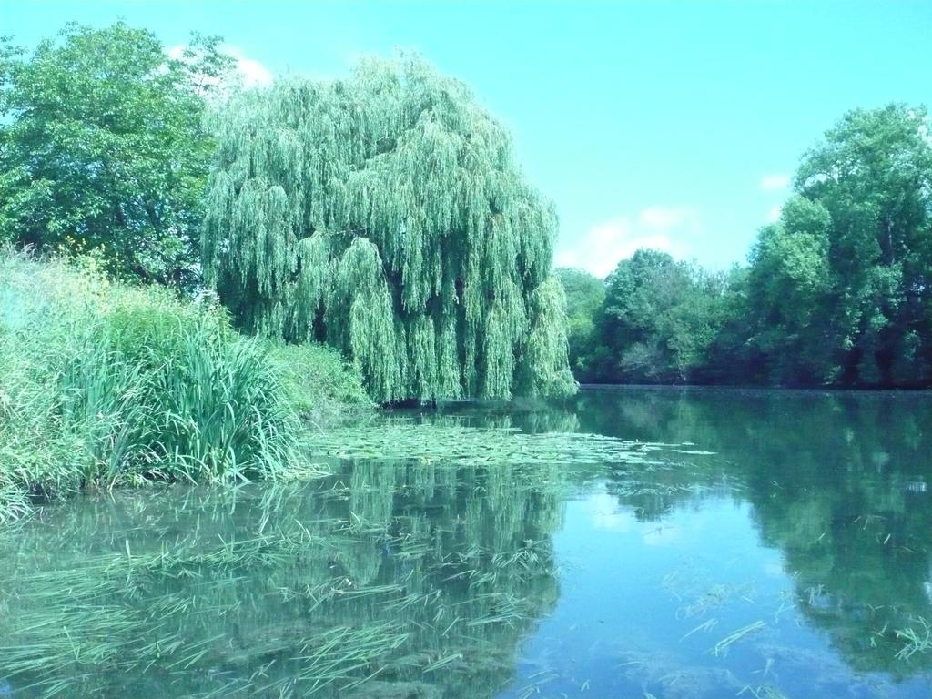 Le Havre De Bennecourt Bed & Breakfast Екстериор снимка